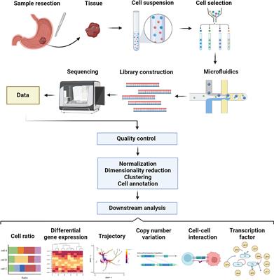 Single-cell transcriptome sequencing reveals heterogeneity of gastric cancer: progress and prospects